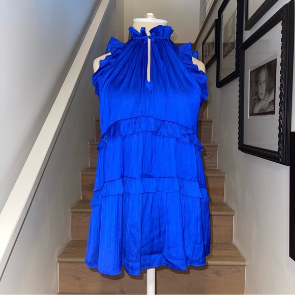 Anthropologie Blue Ruffled Blouse - Picture 10 of 12